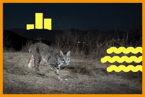 How the fight for public land around Los Angeles hinges on saving one parcel at a time