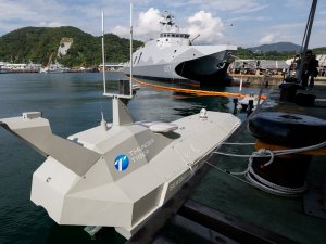 US says Taiwan needs to become a hornet nest of drones
